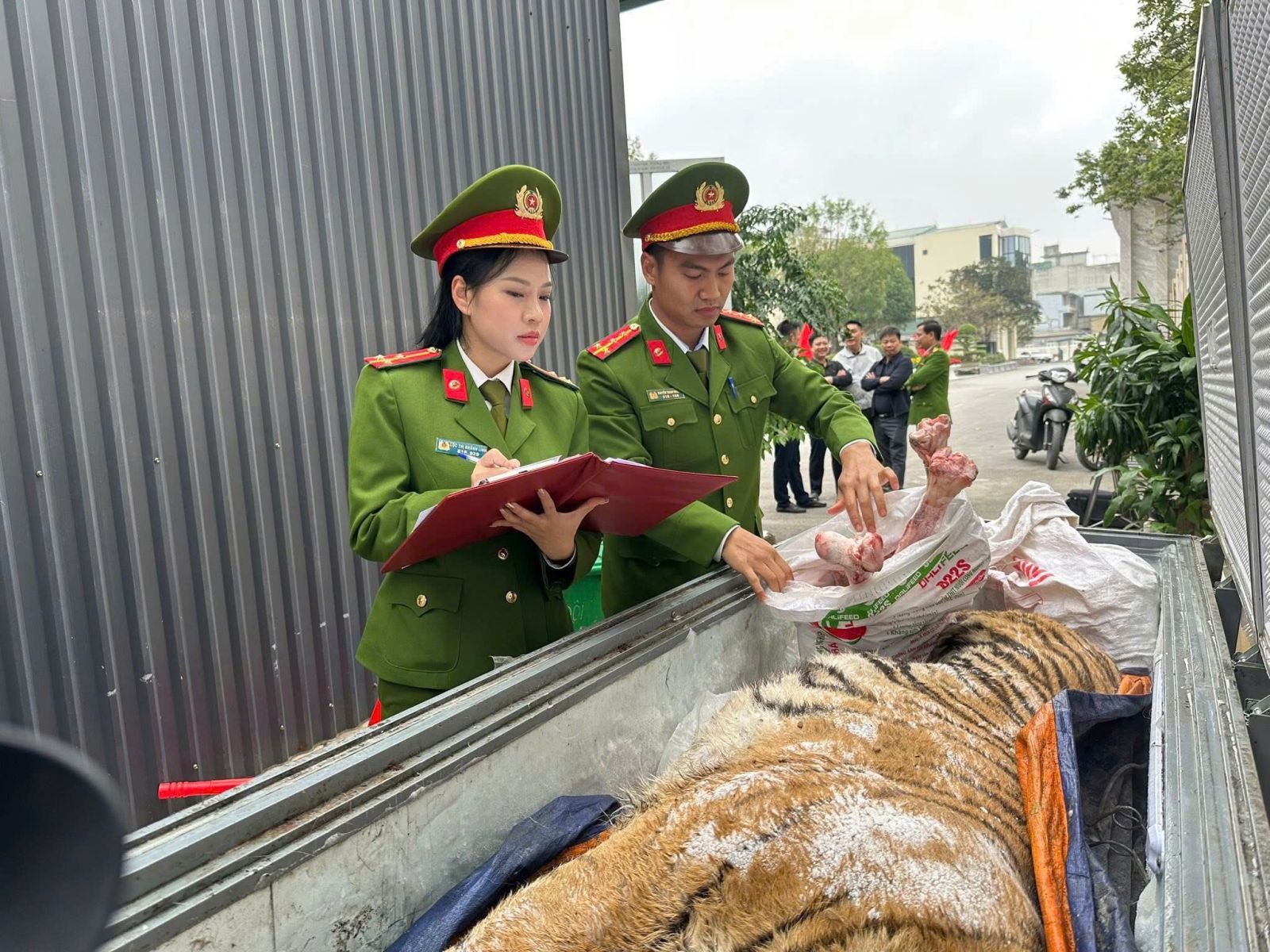 Phát hiện 2 cá thể hổ cấp đông trong hầm một ngôi nhà ở Thanh Hóa: Bí mật sau cánh cửa sắt khiến nhiều người rùng mình - Ảnh 1