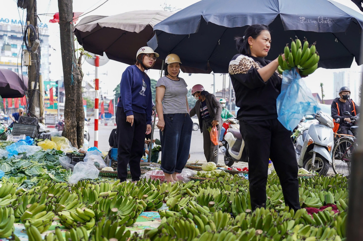 Chuối xanh 28 Tết: Từ nửa triệu ‘rơi’ xuống 30.000 đồng vẫn ế - Ảnh 12