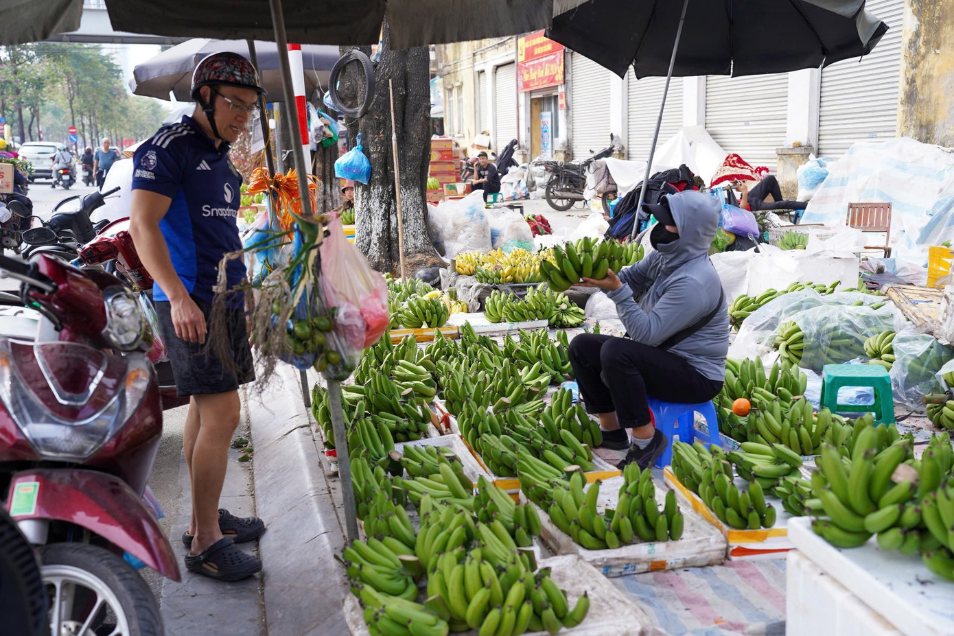 Chuối xanh 28 Tết: Từ nửa triệu ‘rơi’ xuống 30.000 đồng vẫn ế - Ảnh 5