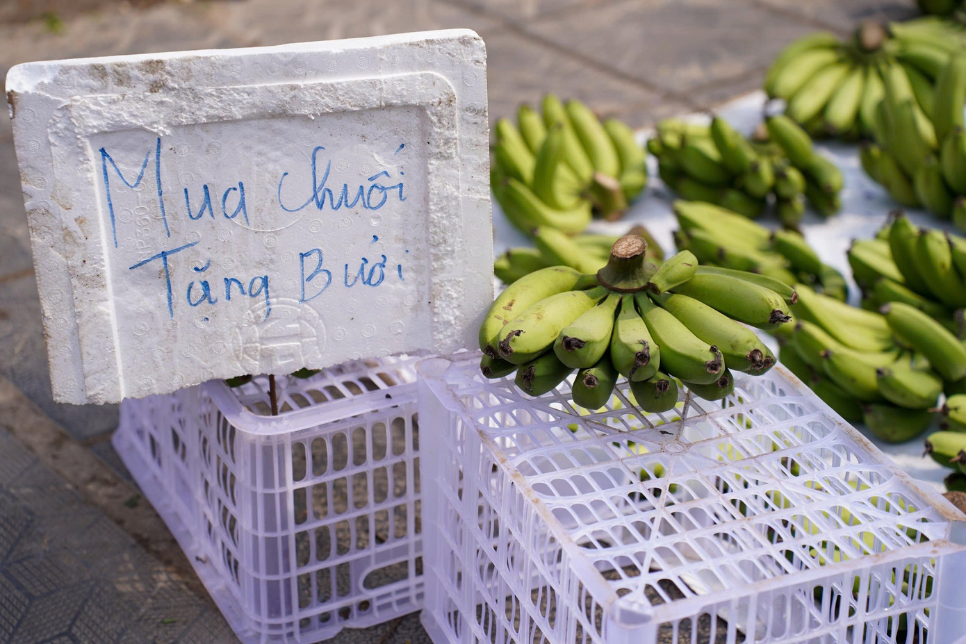 Chuối xanh 28 Tết: Từ nửa triệu ‘rơi’ xuống 30.000 đồng vẫn ế - Ảnh 10