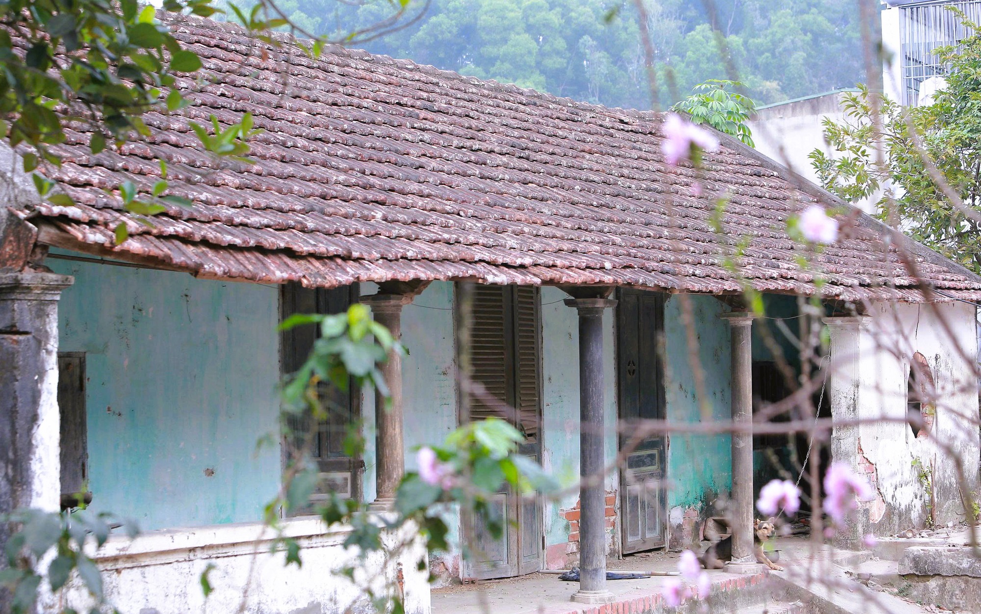 Làng cổ Đông Sơn - một trong 10 làng cổ đẹp nhất Việt Nam bên bờ sông Mã - Ảnh 9