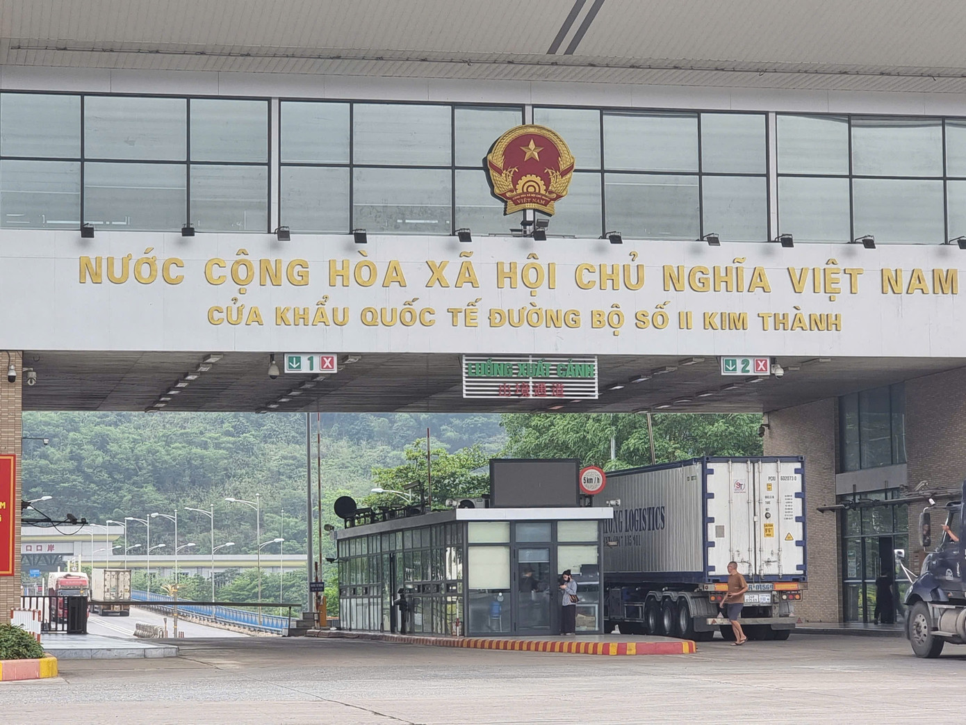 Lô sầu riêng 17 tấn xuất Trung Quốc ngày mùng 1 Tết - Ảnh 2