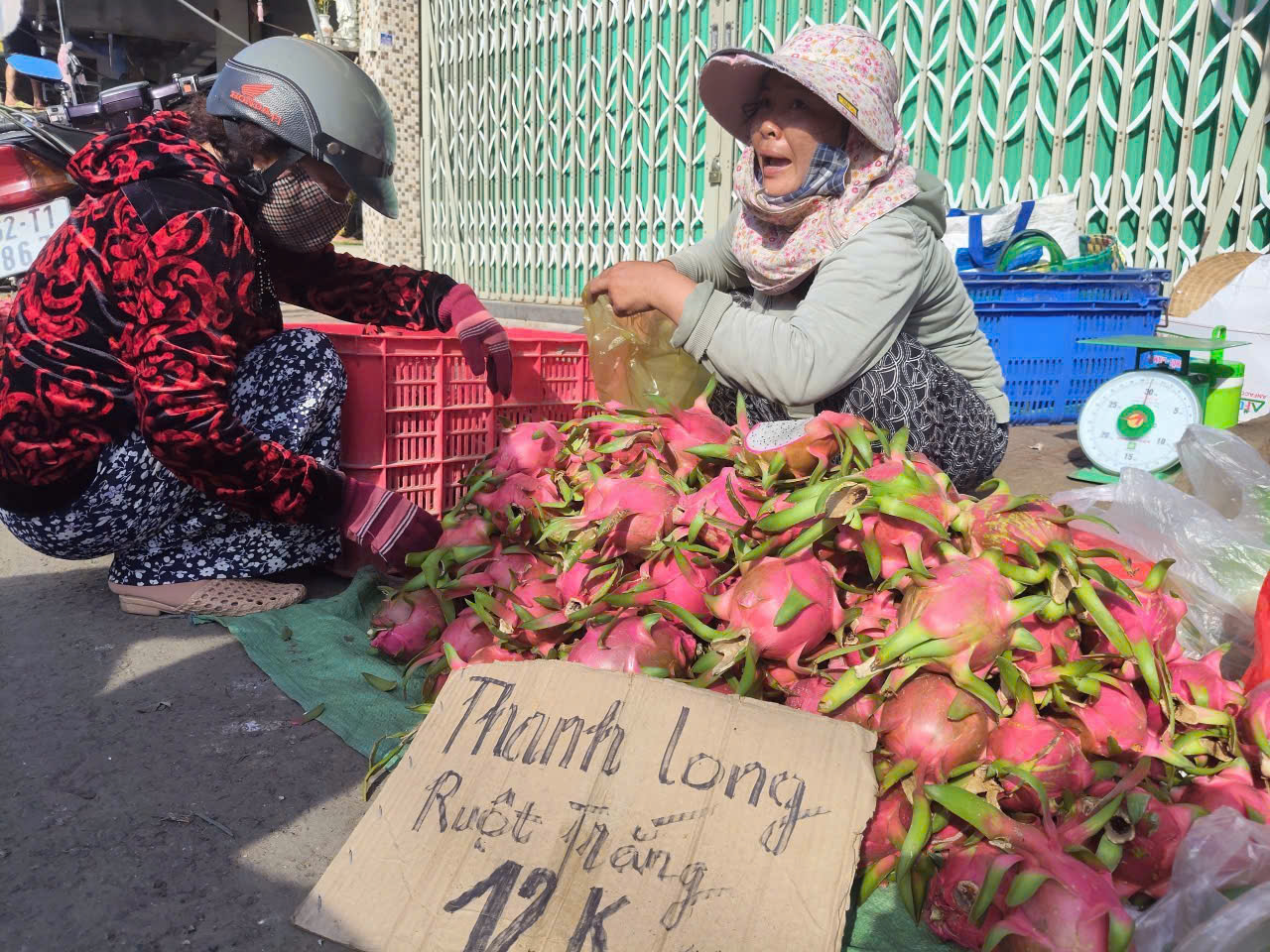 Thanh long Tây Ninh ngày Tết "ngọt" nhưng vẫn nặng nỗi lo - Ảnh 10
