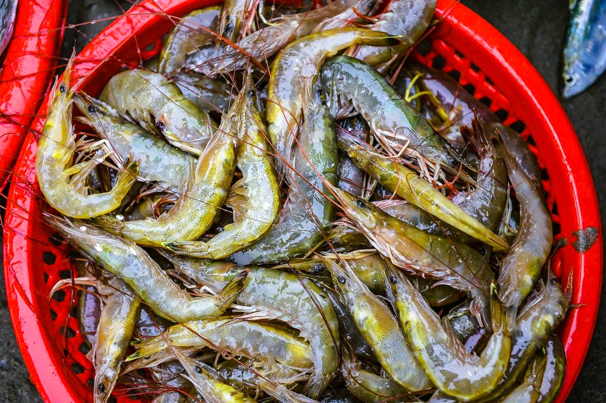 Gần 1 triệu đồng/kg cá khoai, ngư dân hồ hởi "xông biển" ngày đầu năm mới - Ảnh 7