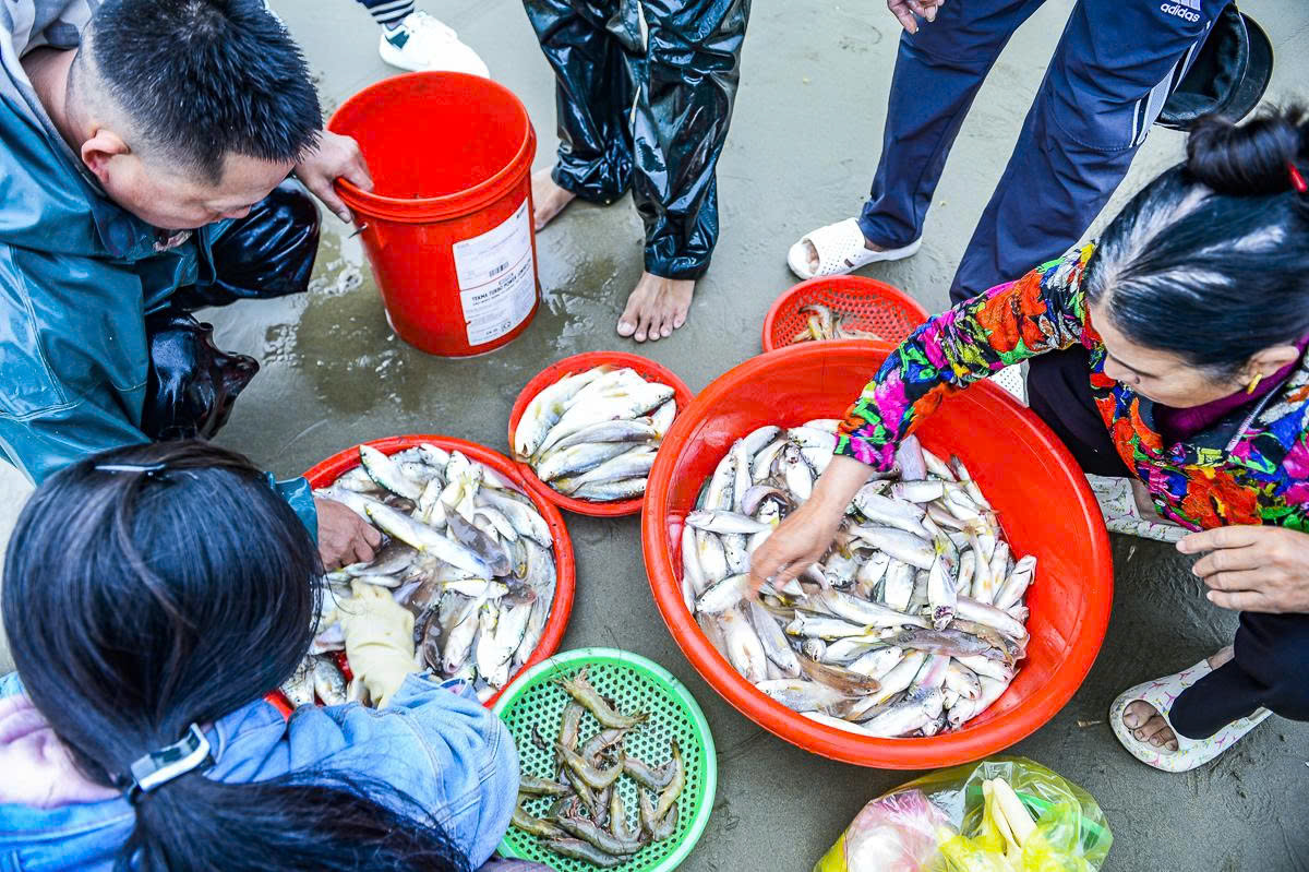 Gần 1 triệu đồng/kg cá khoai, ngư dân hồ hởi "xông biển" ngày đầu năm mới - Ảnh 8