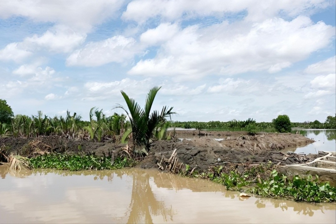 Danh tính hai người đàn ông chiếm gần 29 ha đất công - Ảnh 1