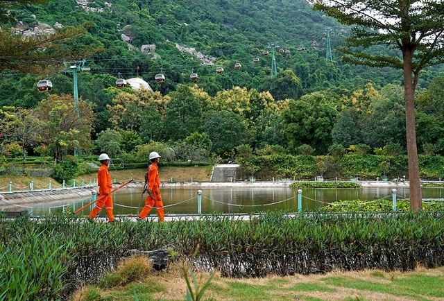 Ngành điện miền Nam sẵn sàng đảm bảo cung cấp điện Tết Bính Ngọ 2026 - Ảnh 1