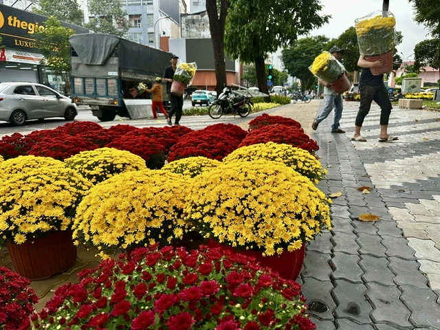 Hoa tết mọi miền khoe sắc giữa lòng TP.HCM - Ảnh 1