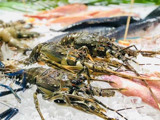 Xuất khẩu tôm Việt đón tin vui kép - Ảnh 1