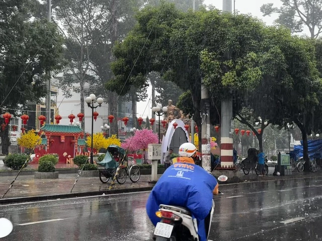 TP.HCM lại xuất hiện mưa trái mùa, nhà vườn lo mất xuân - Ảnh 5