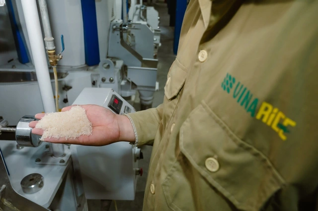 Gạo Đài Thơm 8 được đề xuất làm chuẩn tham chiếu thuế nhập khẩu tại Philippines - Ảnh 2