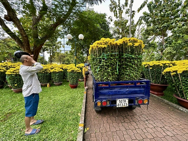 Hoa tết mọi miền khoe sắc giữa lòng TP.HCM - Ảnh 3