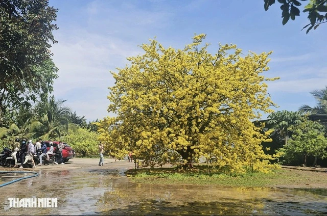 Nhiệt độ cao nhất Nam bộ hôm nay là 36,2 độ C, xuất hiện ở đâu? - Ảnh 1