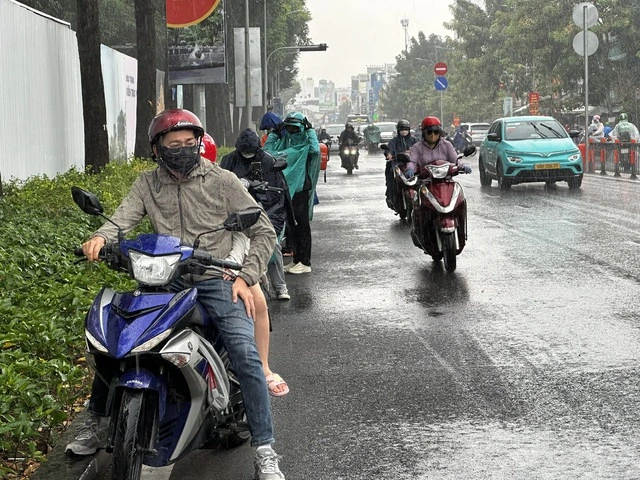 TP.HCM lại xuất hiện mưa trái mùa, nhà vườn lo mất xuân - Ảnh 8