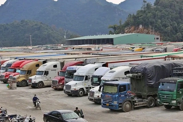 Văn phòng Chính phủ 'hỏa tốc' yêu cầu hướng dẫn kiểm tra thực phẩm nhập khẩu trước 5.2. - Ảnh 1