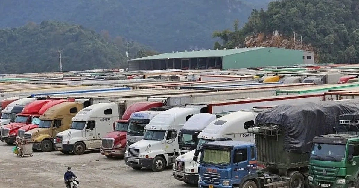 Chính phủ tạm dừng Nghị định 46 đến hết ngày 16.4