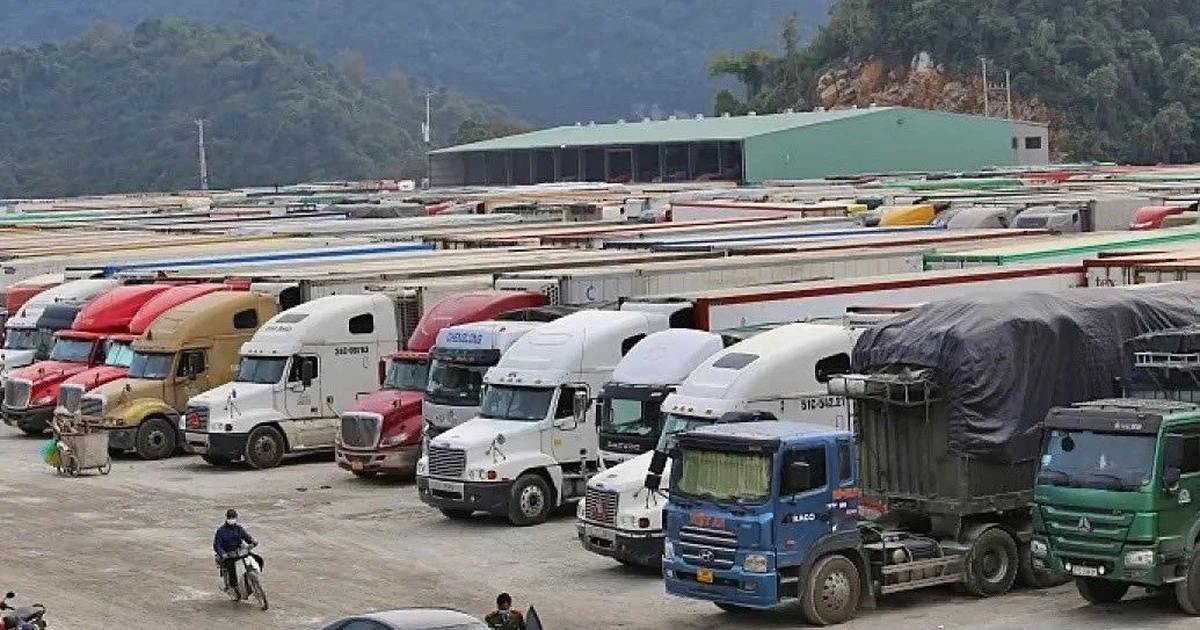 Đề xuất tạm ngưng hiệu lực Nghị định 46 đến hết ngày 15.4