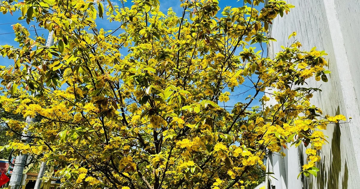 Cảnh báo từ mai Nam bộ nắng nóng đến 36 độ C