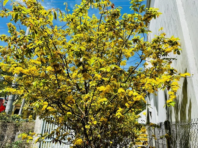 Cảnh báo từ mai Nam bộ nắng nóng đến 36 độ C - Ảnh 1