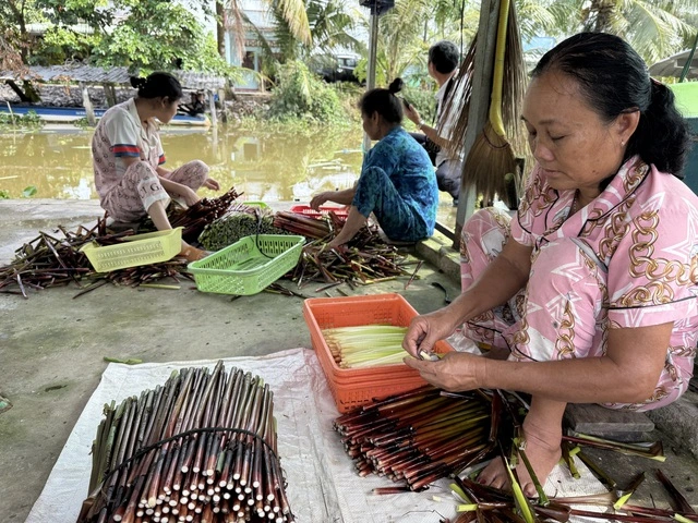 Làm giàu từ 'cỏ dại' ở vùng đất phèn mặn - Ảnh 4