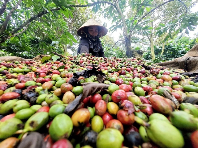 Xuất khẩu tăng tốc sớm - Ảnh 2