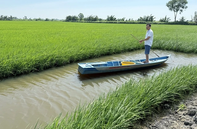 Kỳ tích 'bí thư lúa' - Ảnh 4