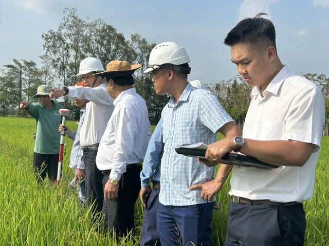 EVNSPC hoàn thành 8 công trình lưới điện 110kV trong tháng 1.2026 - Ảnh 5