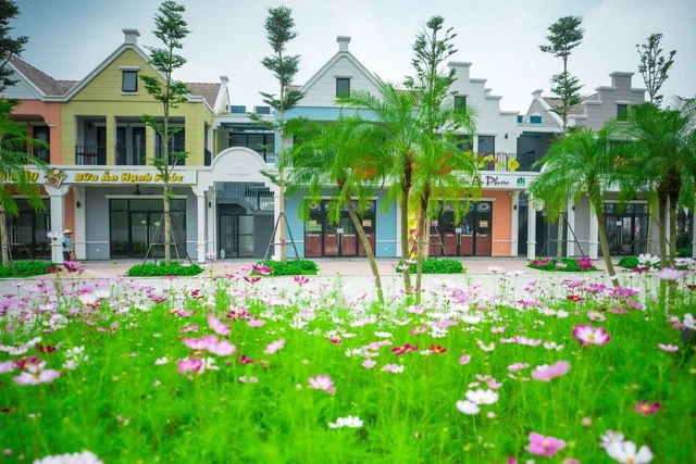 Ecopark tràn ngập sắc hoa các đại đô thị khắp 3 miền dịp Tết Bính Ngọ 2026 - Ảnh 11