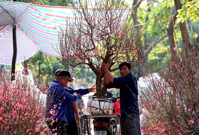 Nhà vườn chờ sức mua khởi sắc cận tết - Ảnh 1