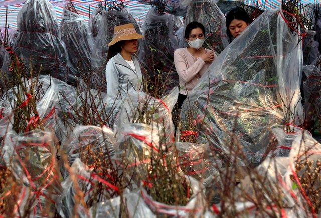 Nhà vườn chờ sức mua khởi sắc cận tết - Ảnh 2