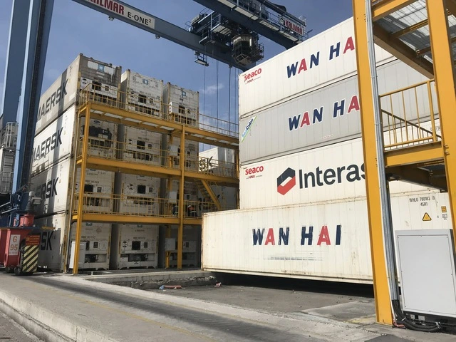 Hải quan trao đổi khẩn với Cục Chăn nuôi và Thú y để thông quan thực phẩm - Ảnh 1