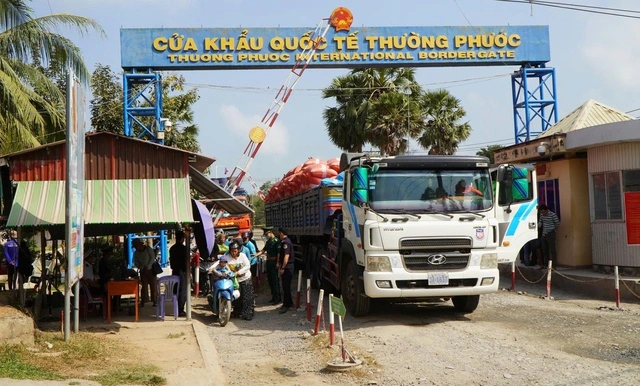 Hỏa tốc tháo gỡ ùn tắc hàng nhập khẩu ở cảng - Ảnh 1