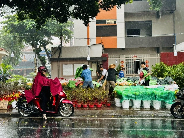 TP.HCM lại xuất hiện mưa trái mùa, nhà vườn lo mất xuân - Ảnh 2