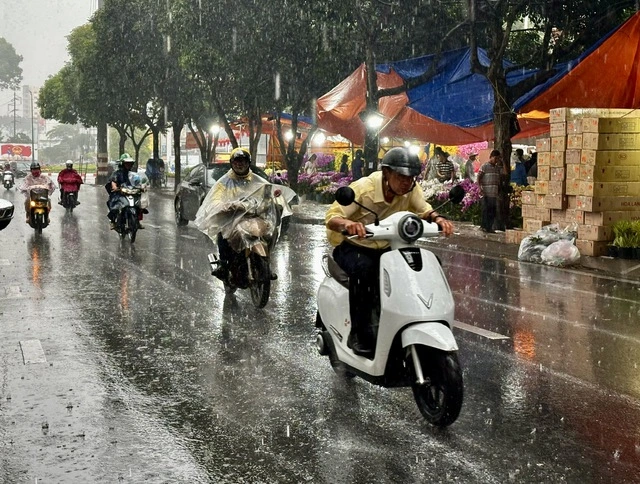 TP.HCM lại xuất hiện mưa trái mùa, nhà vườn lo mất xuân - Ảnh 6