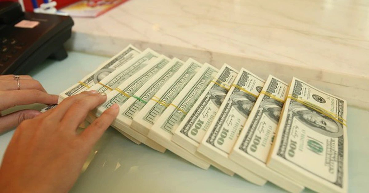 Giá USD hôm nay 24.2.2026: Đồng loạt tăng cùng euro, bảng Anh