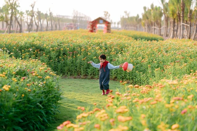 Ecopark tràn ngập sắc hoa các đại đô thị khắp 3 miền dịp Tết Bính Ngọ 2026 - Ảnh 5