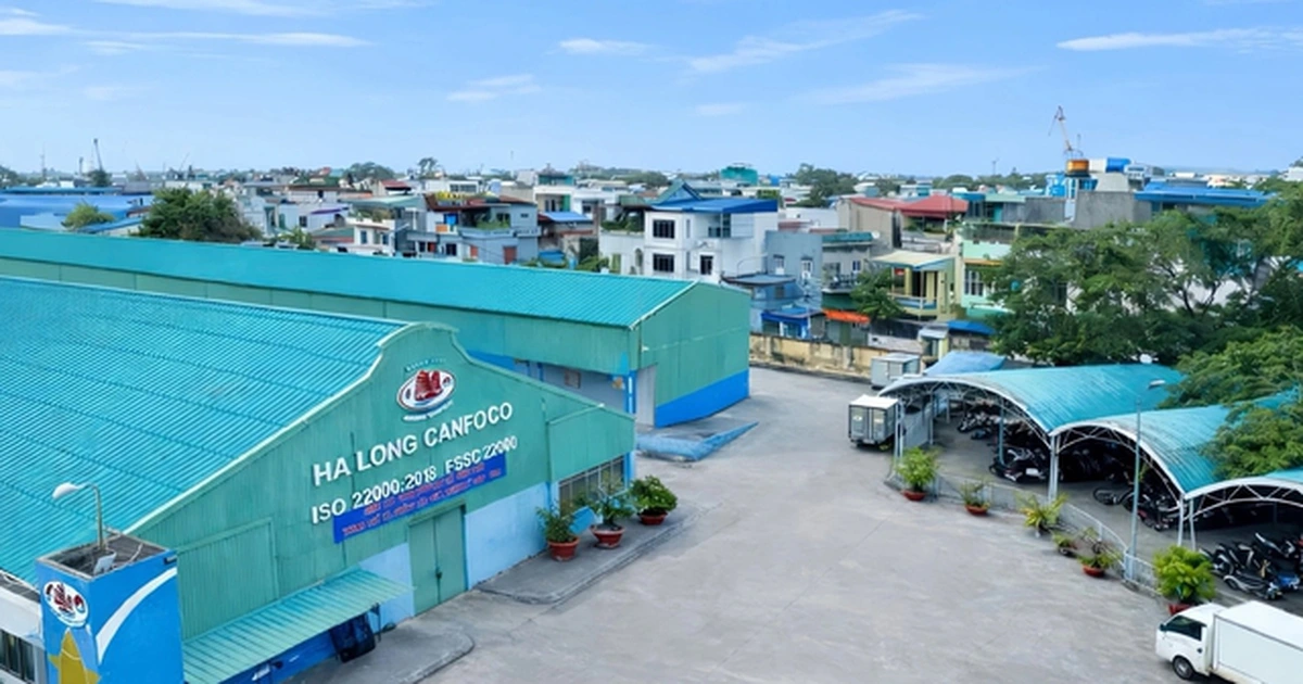 Đồ hộp Hạ Long báo lỗ lớn sau vụ án thịt heo nhiễm bệnh