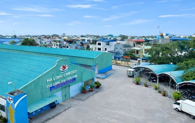 Đồ hộp Hạ Long báo lỗ lớn sau vụ án thịt heo nhiễm bệnh - Ảnh 1