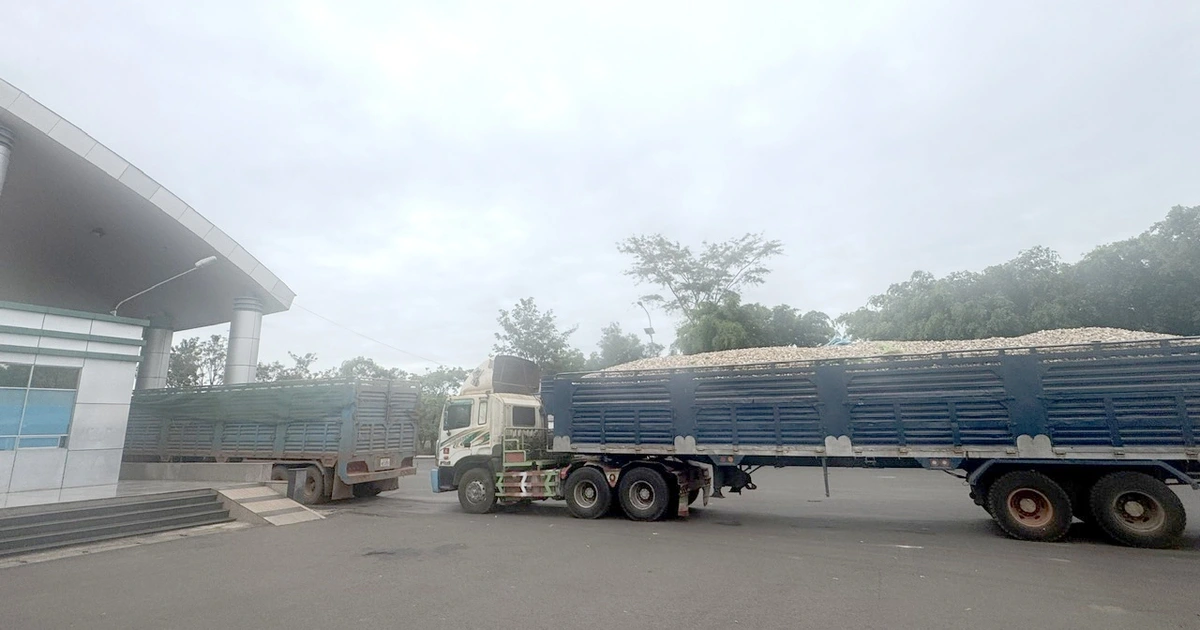 Thực phẩm, nông sản nhập khẩu vẫn 'tắc' thông quan