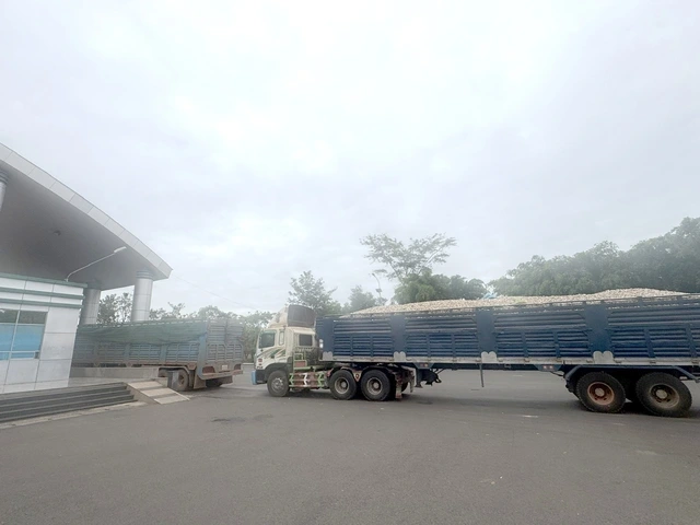 Thực phẩm, nông sản nhập khẩu vẫn 'tắc' thông quan - Ảnh 1