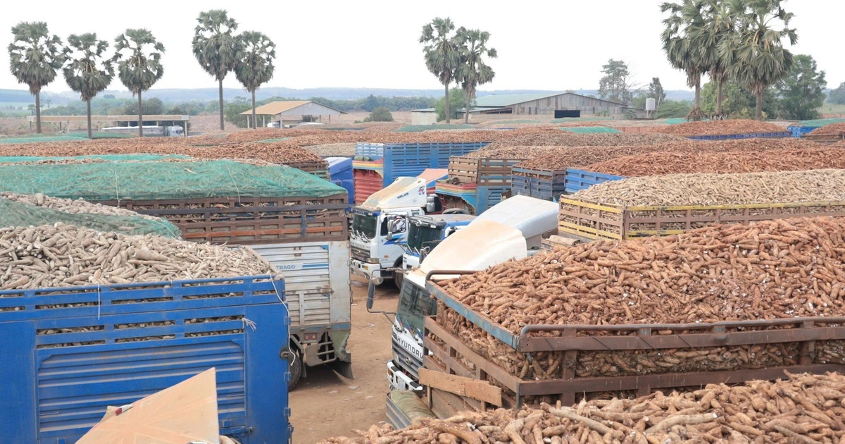 Hàng hóa tại các cửa khẩu ở Tây Ninh đã thông suốt