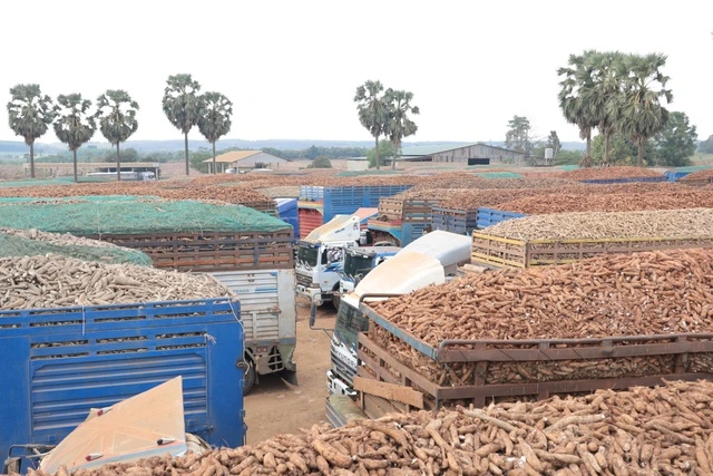 Hàng hóa tại các cửa khẩu ở Tây Ninh đã thông suốt - Ảnh 1