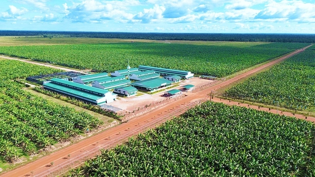 Thị trường Lào, Campuchia ngày càng quan trọng - Ảnh 3