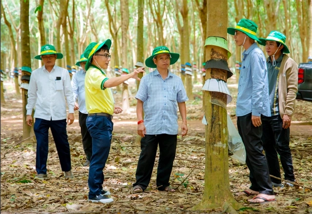 Thị trường Lào, Campuchia ngày càng quan trọng - Ảnh 5