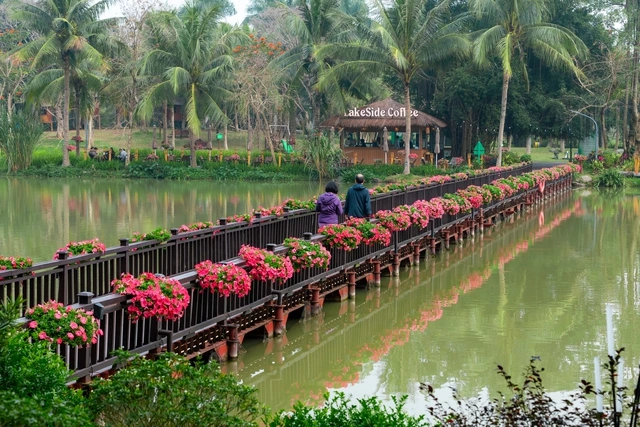 Ecopark tràn ngập sắc hoa các đại đô thị khắp 3 miền dịp Tết Bính Ngọ 2026 - Ảnh 3