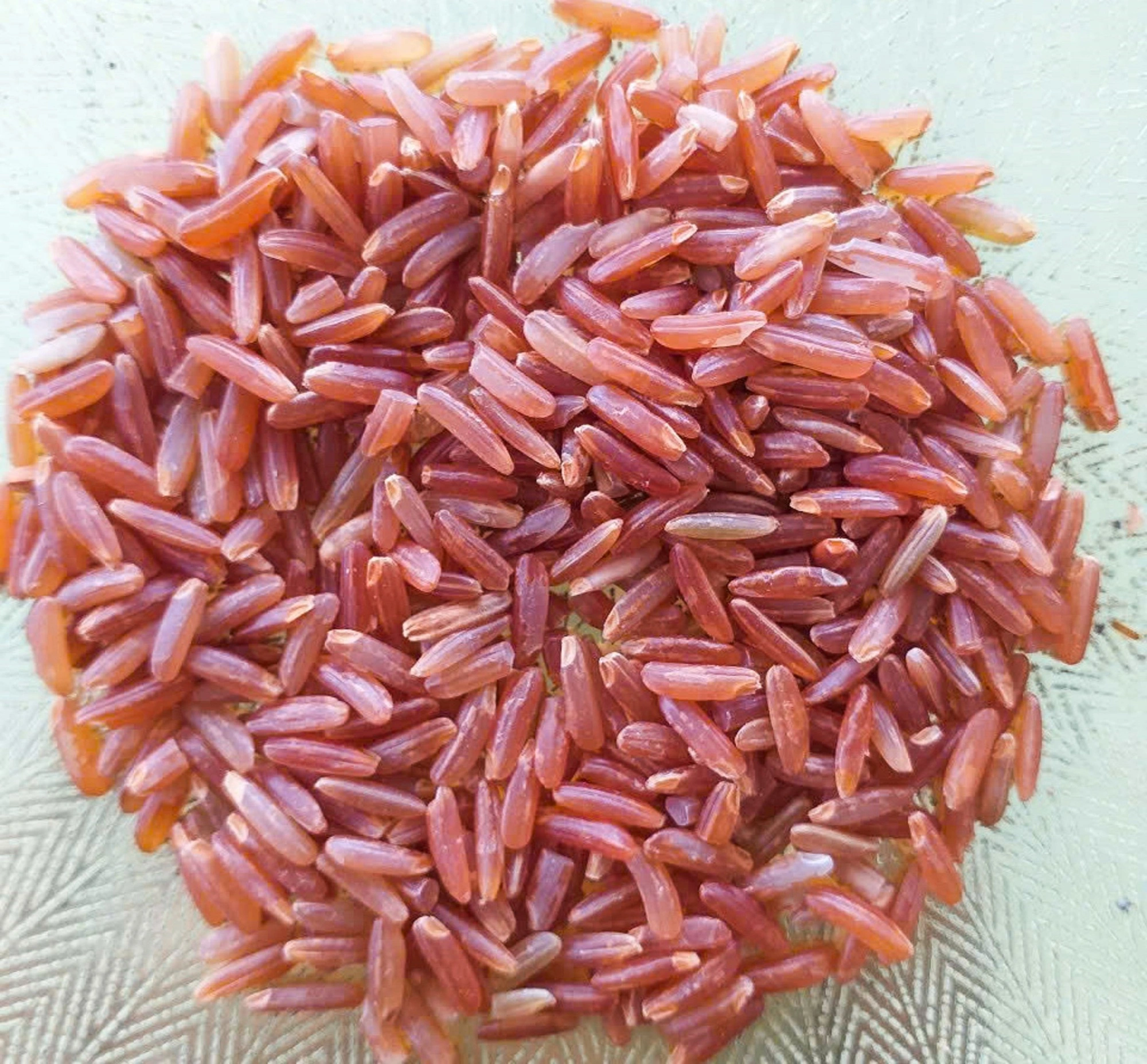 Hành trình hồi sinh gạo đỏ đặc sản miền Tây - Ảnh 2