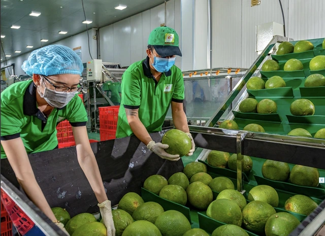 'Bỏ túi' hơn 6,5 tỉ USD từ xuất khẩu nông lâm sản - Ảnh 1