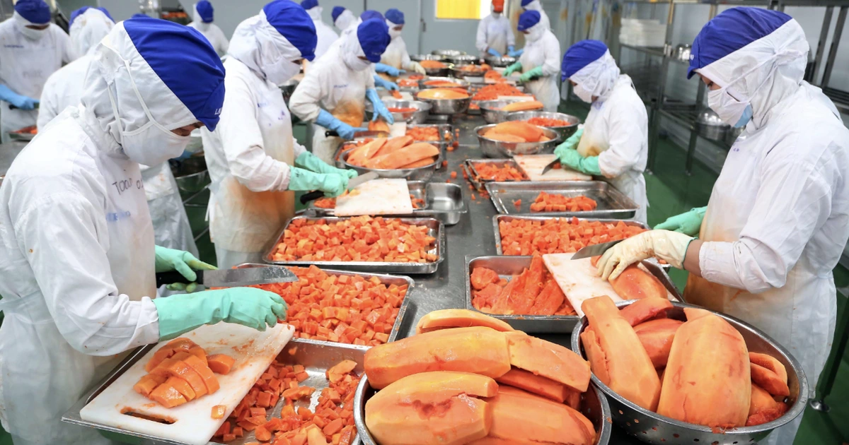 Xuất khẩu rau quả đạt 'kỷ lục kép', kỳ vọng lập đỉnh 10 tỉ USD