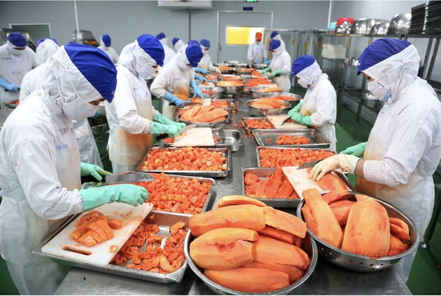 Xuất khẩu rau quả đạt 'kỷ lục kép', kỳ vọng lập đỉnh 10 tỉ USD - Ảnh 1