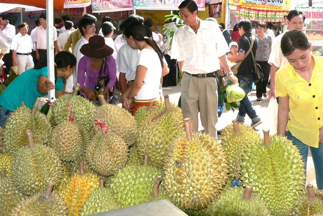 Vì sao giá sầu riêng 'nhảy múa' ngay những ngày đầu tháng giêng? - Ảnh 3